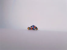 Spectrum Meridian Sapphire Huggie Earrings